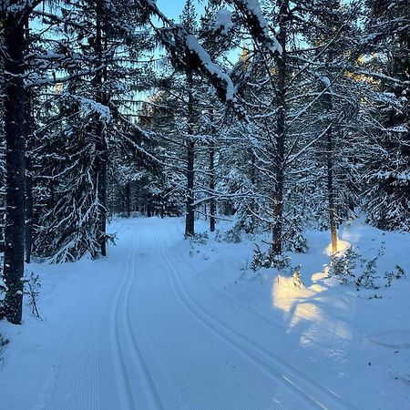 Bjorgebu Camping As Mysusæter Kültér fotó