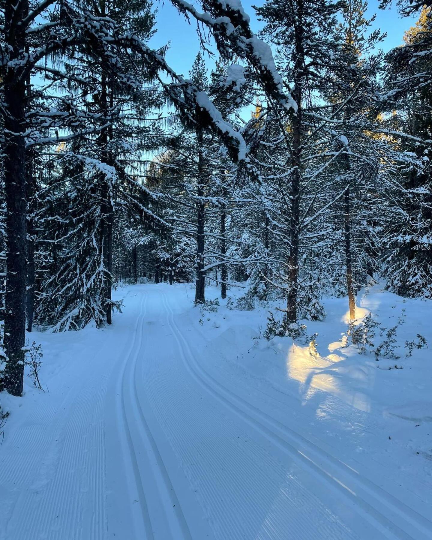 Bjorgebu Camping As Mysusæter Kültér fotó