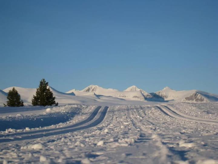 Bjorgebu Camping As Mysusæter Kültér fotó